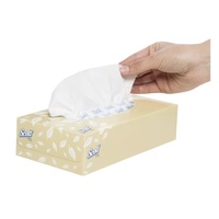 Scott Facial Tissues 2Ply 48 Boxes x 100 Sheets 