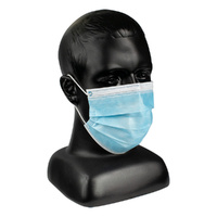 Surgical Mask Submicron 3 PLY With Ear Loops